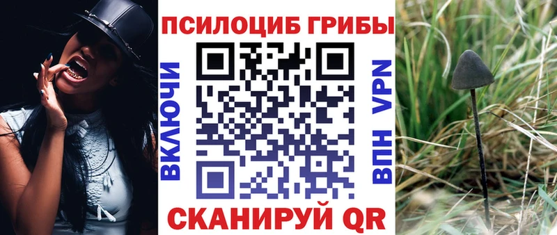 Псилоцибиновые грибы GOLDEN TEACHER Нижние Серги